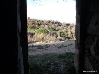 tapiccola-13-01-2013 09-10-51
